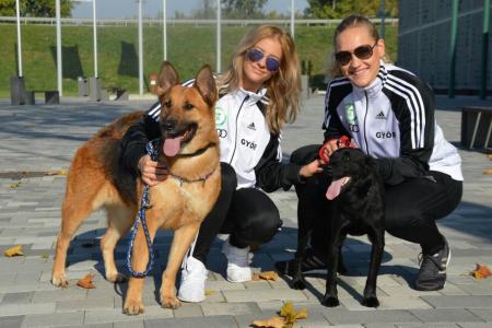 Kézis lányok is segítenek a Győri Állatmenhelynek
