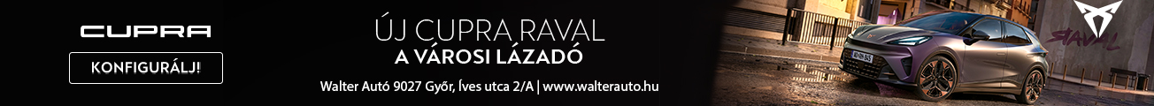 WalterAuto